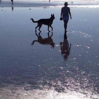 Always coloring within the lines ...