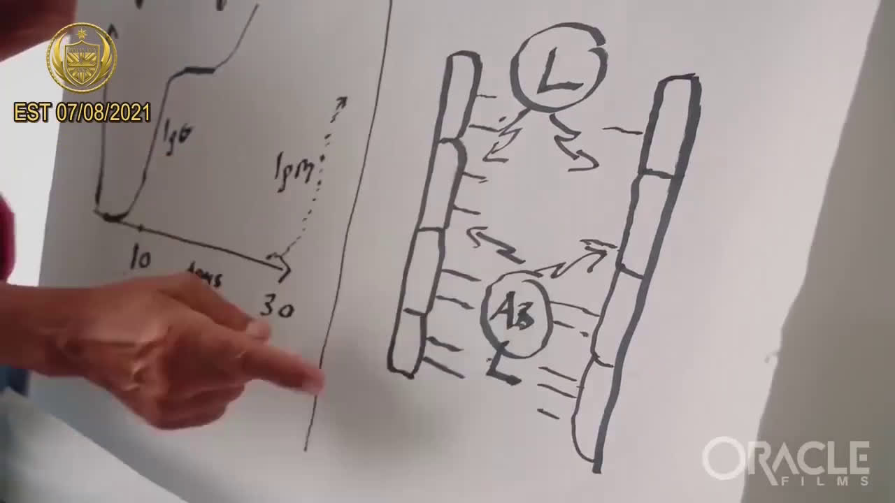 Professor Sucharit Bhakdi：
🔹Proof that puts an end to the Sars-CoV-2 Narrative part4
🔹Now, the sec...