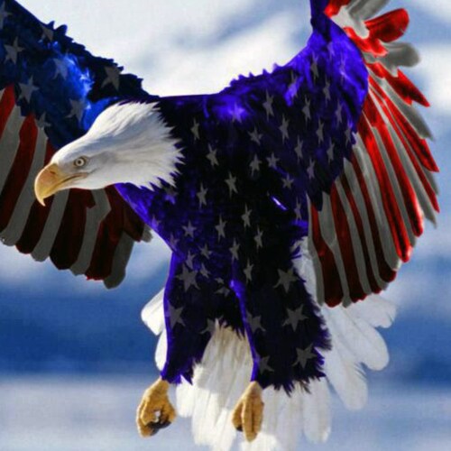 ALWAYS FOLLOW BACK PATRIOTS. MAGA. America First. Always Follow The Money. End freebies, work hard & Earn It. Proud Cons...