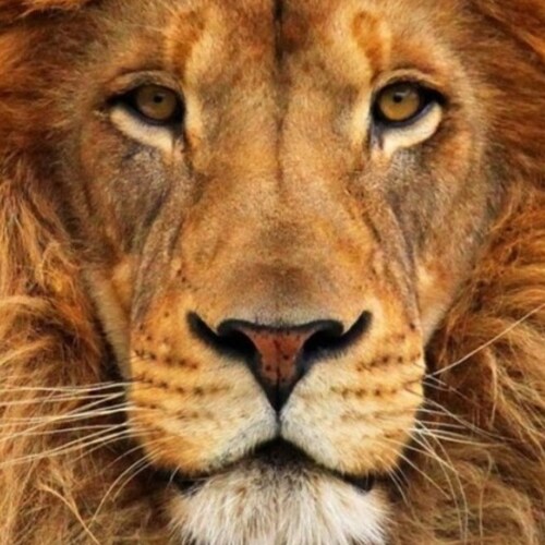 Catholic, Conservative, Canadian