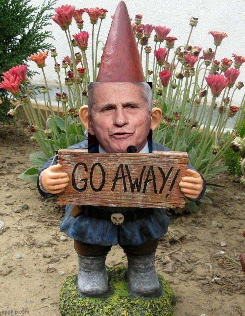 New!  Fauxi Garden Gnome!!