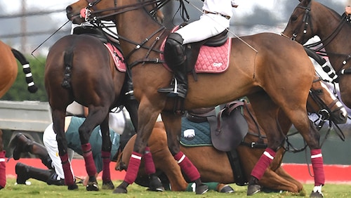PHOTO: Prince Harry has fallen off his horse in California while playing polo.