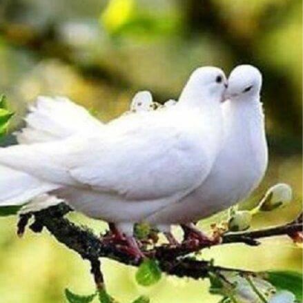 Visit Countdown_1954's profile on GETTR. View their posts, photos, videos, and connect with them on the social platform.