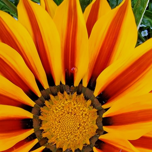 Conservative Christian, Husband and Father of 5. True American history returned to our schools and Jesus Preached. Our P...