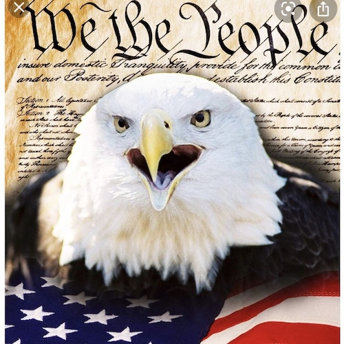 U.S. Election Fraud is Real—And It Is Being Ignored. 🇺🇸Trump Won🇺🇸.  Liberalism is a mental illness!  🇺🇸❤️God Bles...