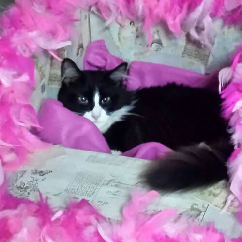 All good liberals live 6ft under😉