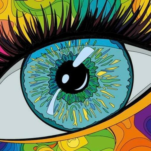 Happy Texan, Optician, Cat lover, Libertarian 🍊