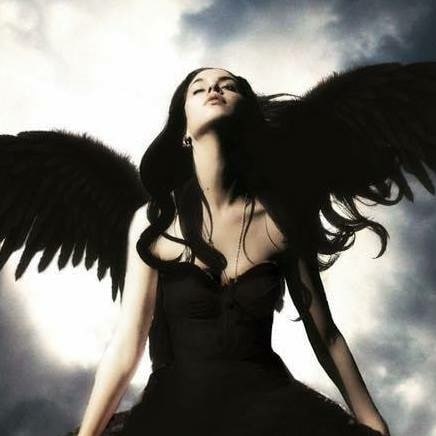 I follow back all Trump Patriots! TRUMP WON! I’m a Patriot that loves President Trump. I despise all HYPOCRITES!