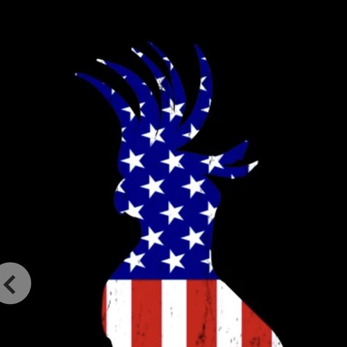 Love My Family, My Friends and My Country.