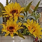 Simbidium