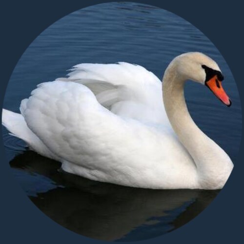 Just trying to reconnect with my favorite people before the bluebird thing gets any more ridiculous.