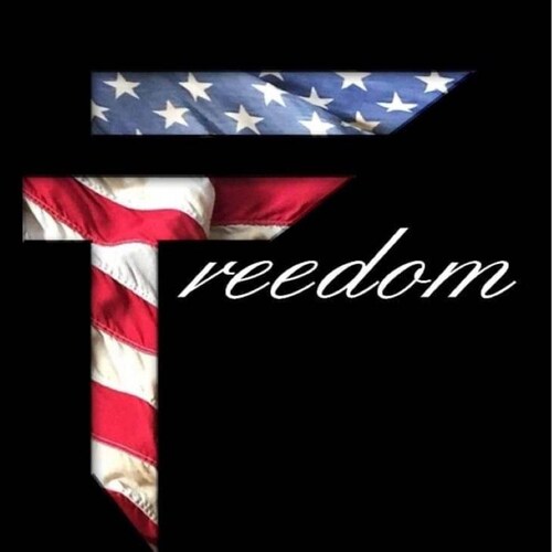 Conservative/Patriot Party
