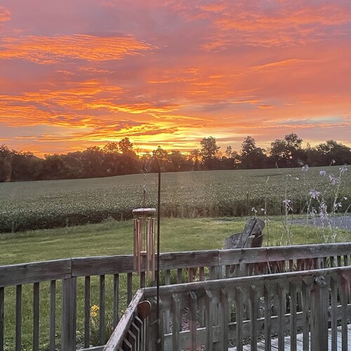 Individualist and Anti-Communist
It is not enough to be against tyranny. We must seek to be actively anti-tyrant.