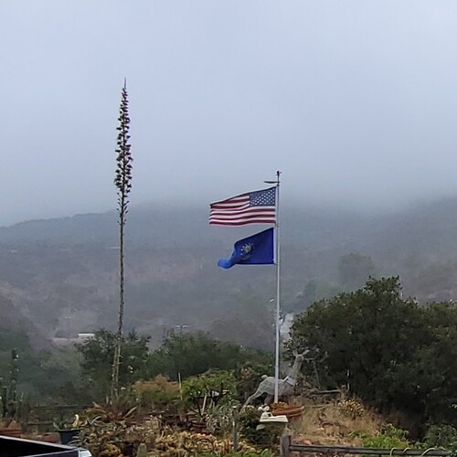 Wife, Military mom, daughter, grandma, Christian, Health care professional,  pet owner, canyon life , proud American, Republican