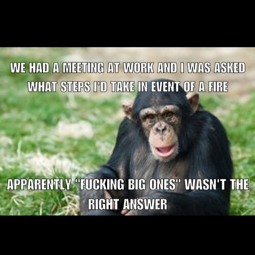 beer drinking Aussie,, Twit acc before suspension @mitchel93404777