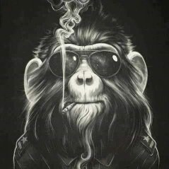 "Those who do not impose themselves, submit!"
PEOPLE THAT DON'T FIGHT 
END HUMILIED AND ENSLAVED 🇧🇷