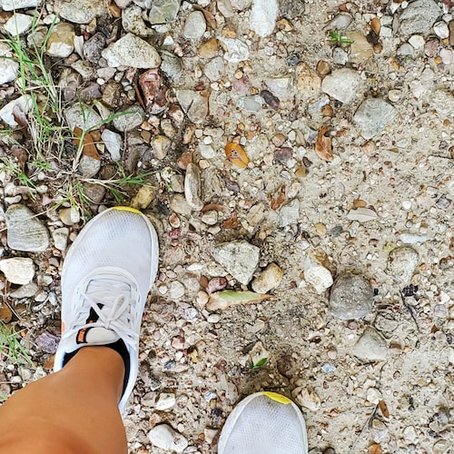 Strong Mind 💪 Free Spirit ✌Trust in God 🙏 Freedom Fighter 🇺🇲 Nature Lover 🌏