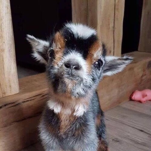 Visit chip53's profile on GETTR. View their posts, photos, videos, and connect with them on the social platform.