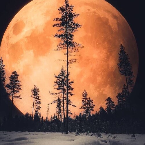 Visit Chris_T's profile on GETTR. View their posts, photos, videos, and connect with them on the social platform.