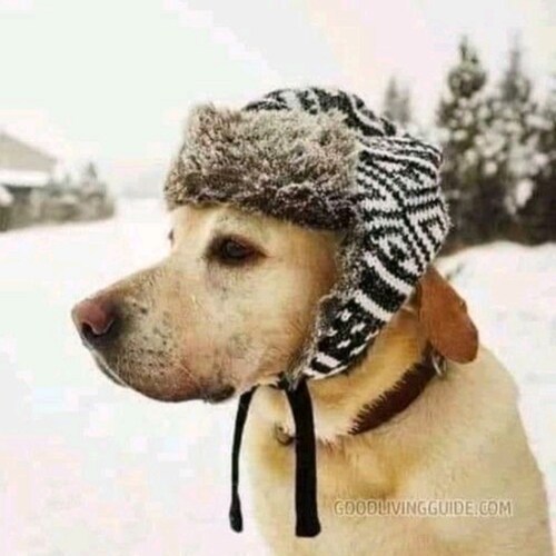 🇺🇲 PROUD PATRIOT 🇺🇲 
  PUREBLOOD     

KILL. YOUR. TV.
STOLEN ELECTIONS HAVE CONSEQUENCES