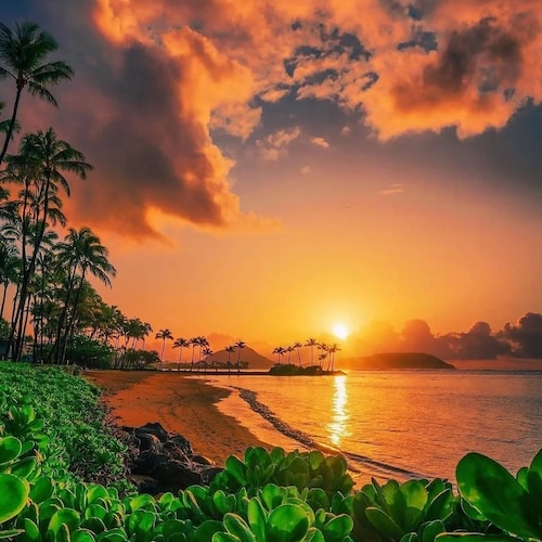 We fight against comunism in the  world. Pro Trump. Architect, writer, painter, inventor, political expert. My paintings...