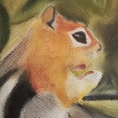 Aris the MAGA chipmunk on Twatter