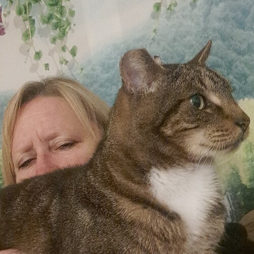 Small business owner, Christian, conspiracy theorist before it was cool.  I prefer to sit quietly and watch the Whole pi...