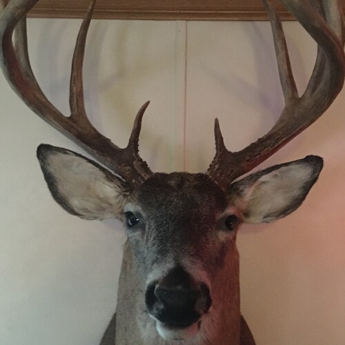 Visit jimmy1975's profile on GETTR. View their posts, photos, videos, and connect with them on the social platform.