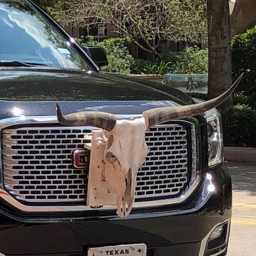 1 Nation under God. 2A,