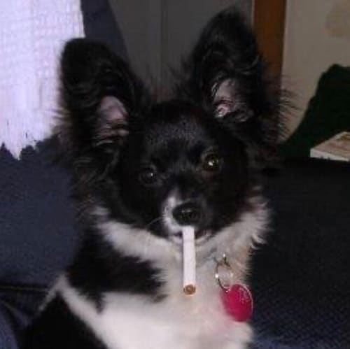 Visit Tom Birkholz's profile on GETTR. View their posts, photos, videos, and connect with them on the social platform.