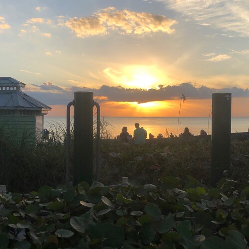 Visit laurence69's profile on GETTR. View their posts, photos, videos, and connect with them on the social platform.