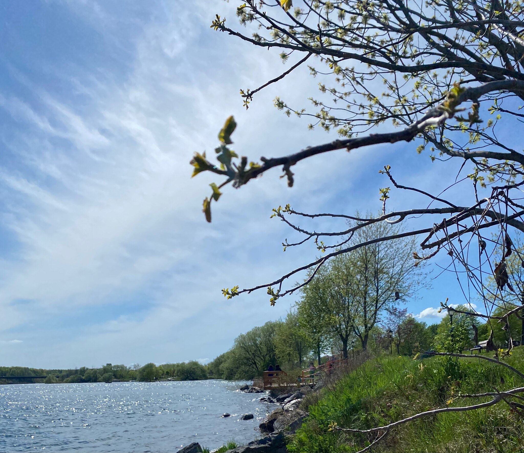 疫苗灾难导致的经济大萧条让世界各地出现了通缩，新冠疫情和疫苗危机导致了在春意盎然的季节到处无人烟。