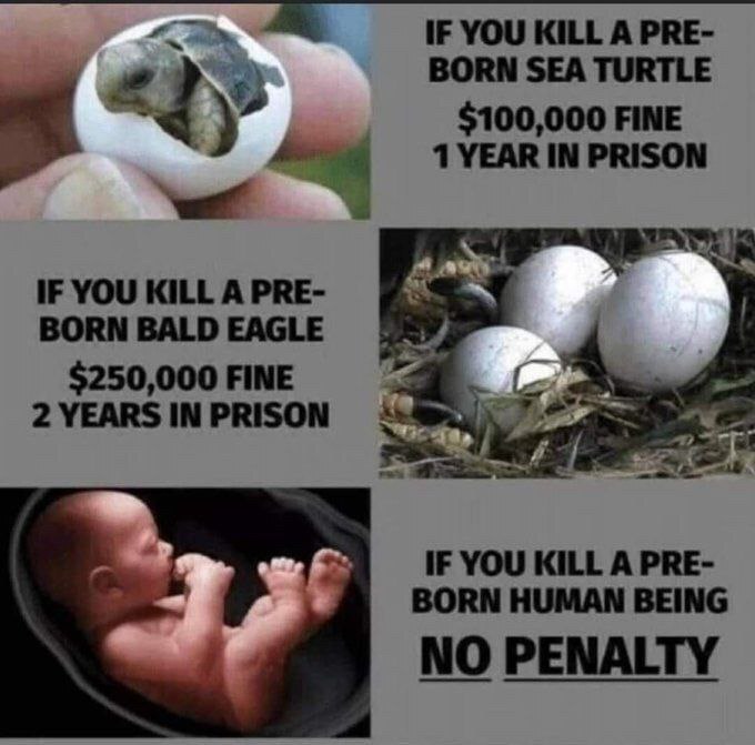 View Lea D 🇺🇸🍀's post on GETTR. Join the discussion, share your thoughts, and connect with the community.