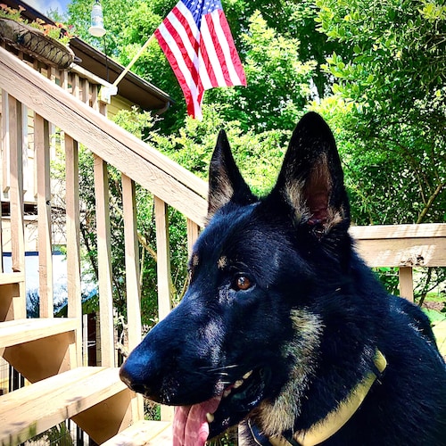 @gbearden It’s the Biden double digit Inflation that congress voted for and are still clinging to. Until they ...