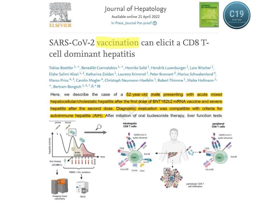 Genetic agent toxicity unrivaled among medications/products used in internal medicine.  Victim was 5...