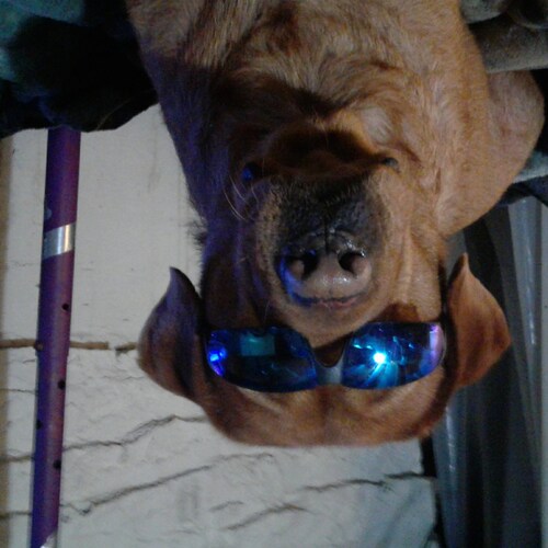 Visit beetle63's profile on GETTR. View their posts, photos, videos, and connect with them on the social platform.