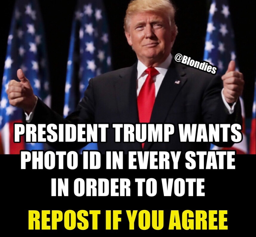 MAGA CONNECT
🔴Follow @Blondies
⚪️Repost
🔵FW&Comment
#BlondiesTrains #DT47 #FSFA

@Blondies @Ace13
...