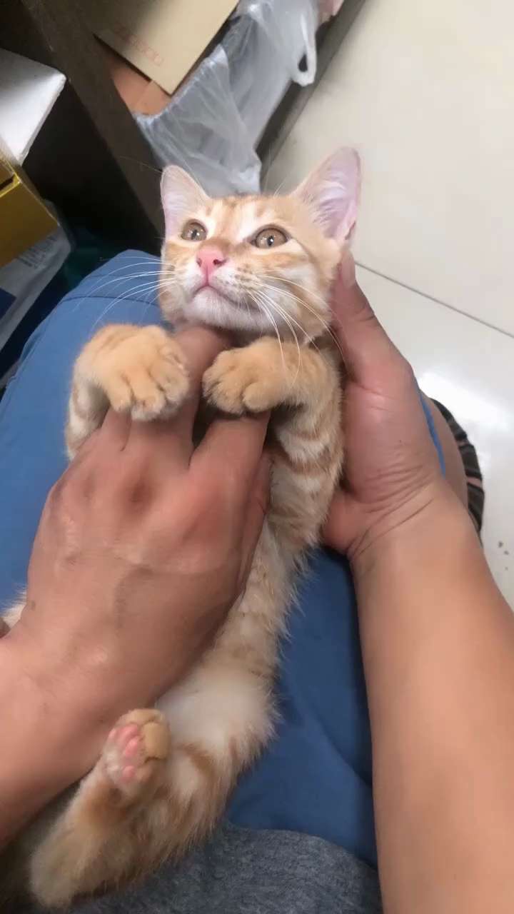 好安逸  要睡着喽