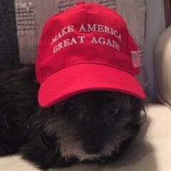 Wife, Mother, Christian, MAGA