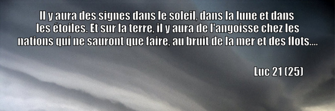 Martin Ethier
