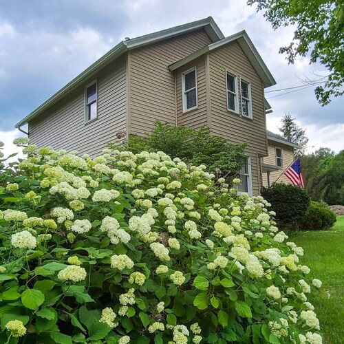 Creating a beautifully simple life in our 1900 Folk Victorian home. Christian. Conservative. American.