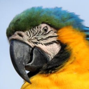 21 years USN, Submarine Qualified Until I Die (SQUID).

I love my country, it's the government I fear.