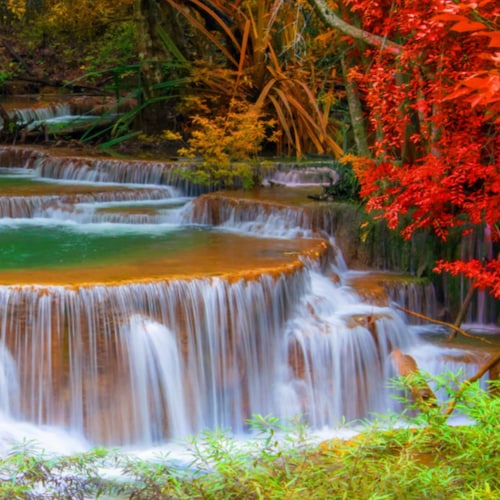 Visit Ekkoa's profile on GETTR. View their posts, photos, videos, and connect with them on the social platform.