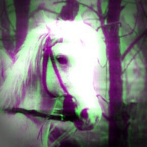 #AmericaFirst #Groyper #FreeNickFuentes