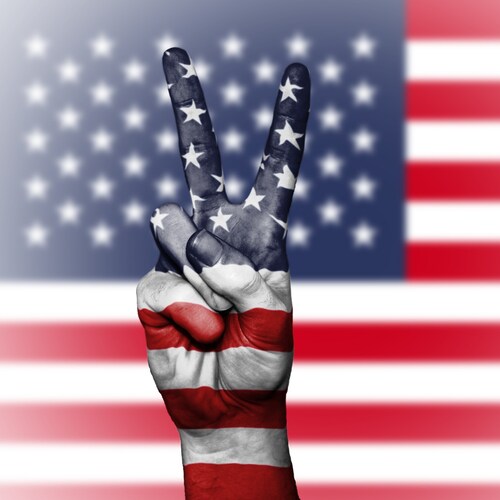 I FOLLOW BACK MAGA ACCTS (IF POSTS IN ENGLISH OR PORTUG.) - Conservative patriot disgusted by corrupt, senile Biden's ty...