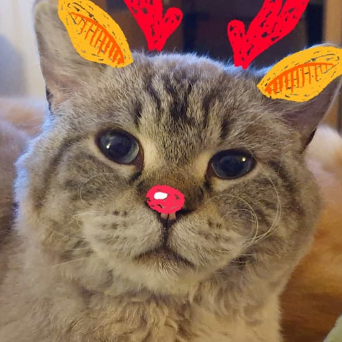 Visit FindusvonMatte's profile on GETTR. View their posts, photos, videos, and connect with them on the social platform.