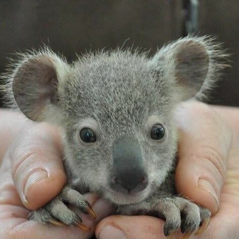 I am an American a veteran I beleave in GOD my family my country my freedom our constitution our flag and I will die pro...