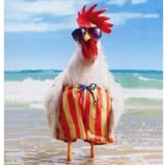 #CluckeDiem On a cluckin mission to Restore The Republic. Libertarian free spirit~ A day without clucks is a day without...