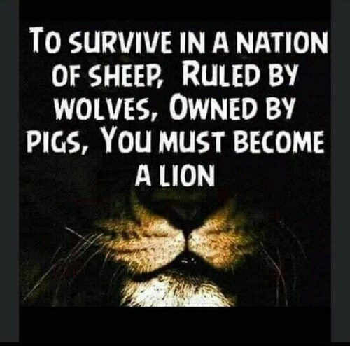 In A World That Is Upside Down Your Either A Lion Or A Clown . 🎡