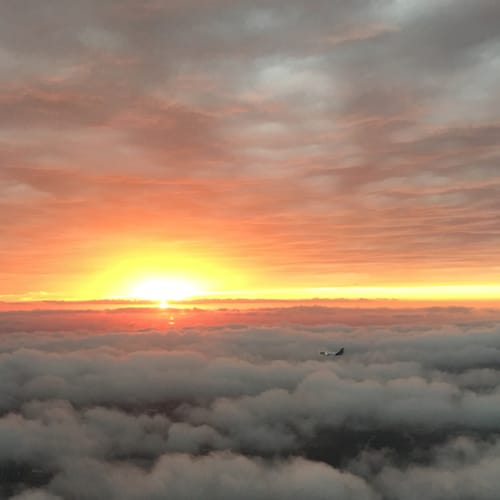 Constitutional Conservative, and a 'no vax' pure blood.